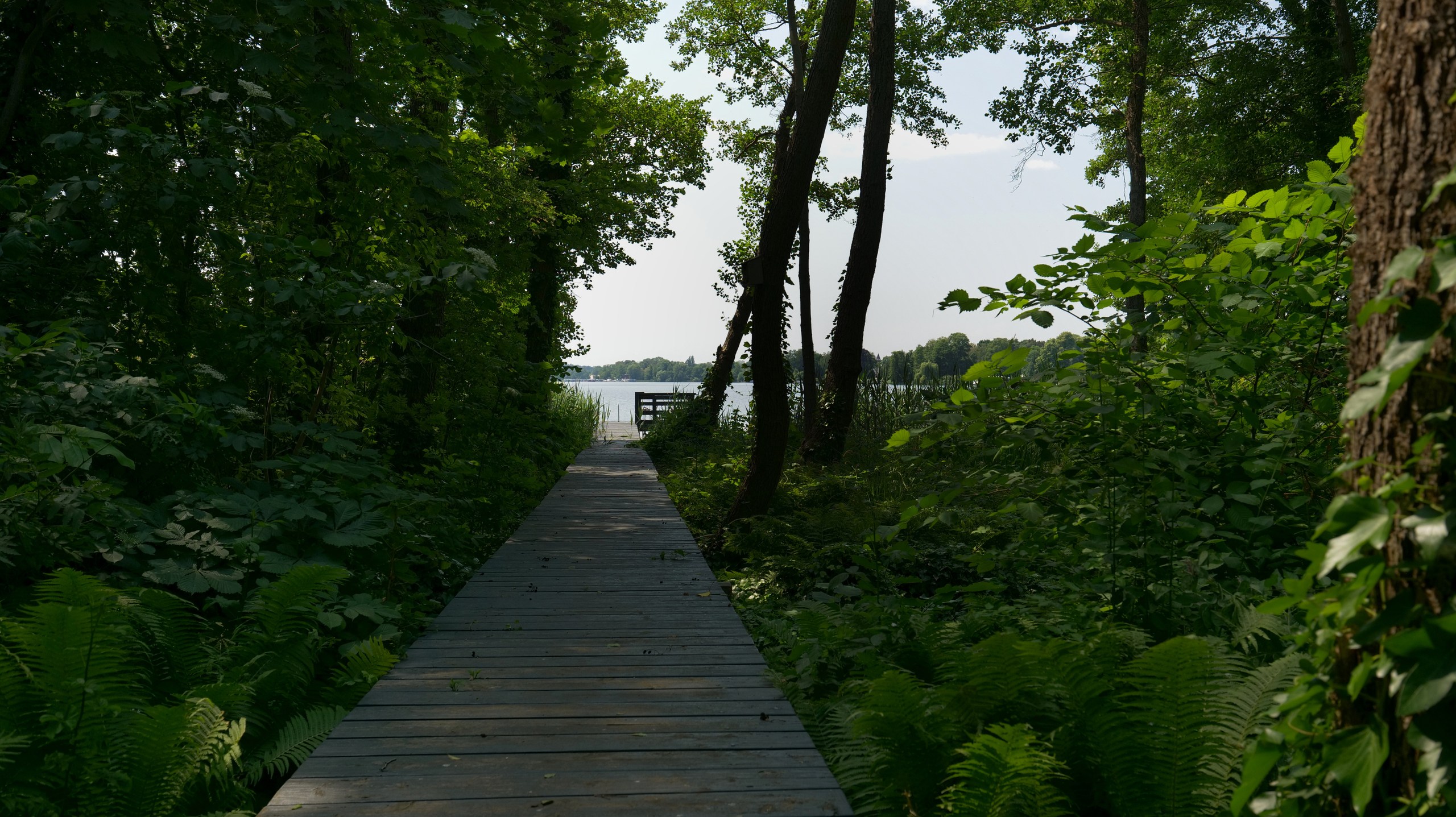 Waldweg zum Krüpelsee Kablow – Einfamilienhaus am See nahe Berlin