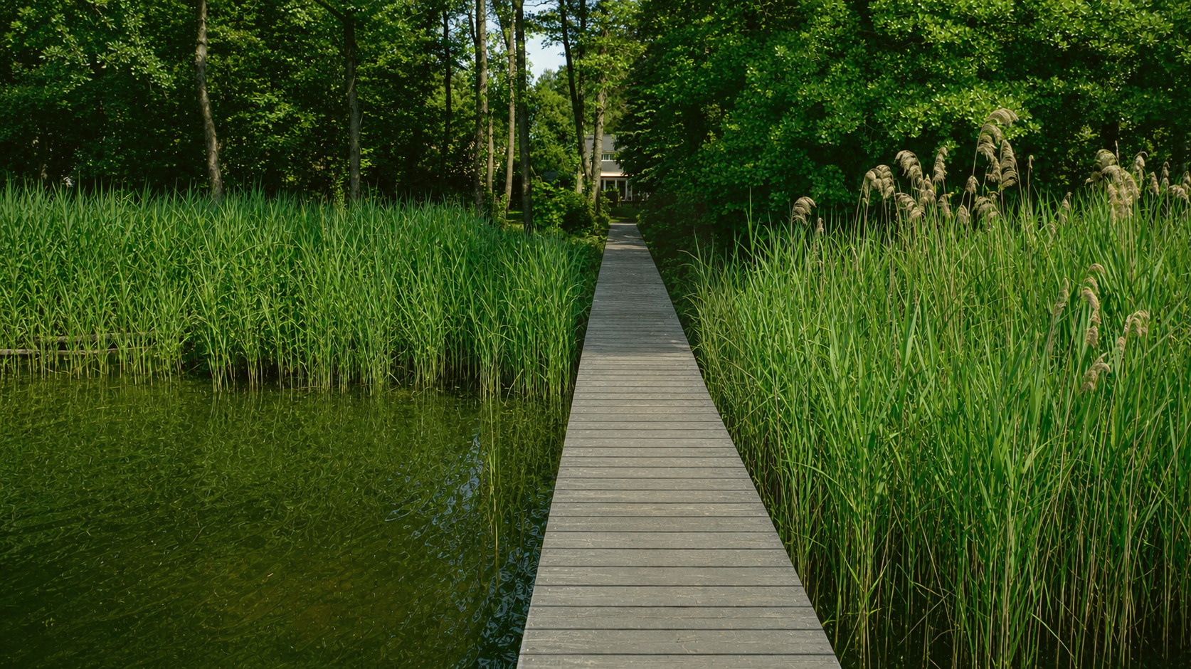 Holzsteg durch das Schilf – Haus mit Seezugang Kablow Krüpelsee