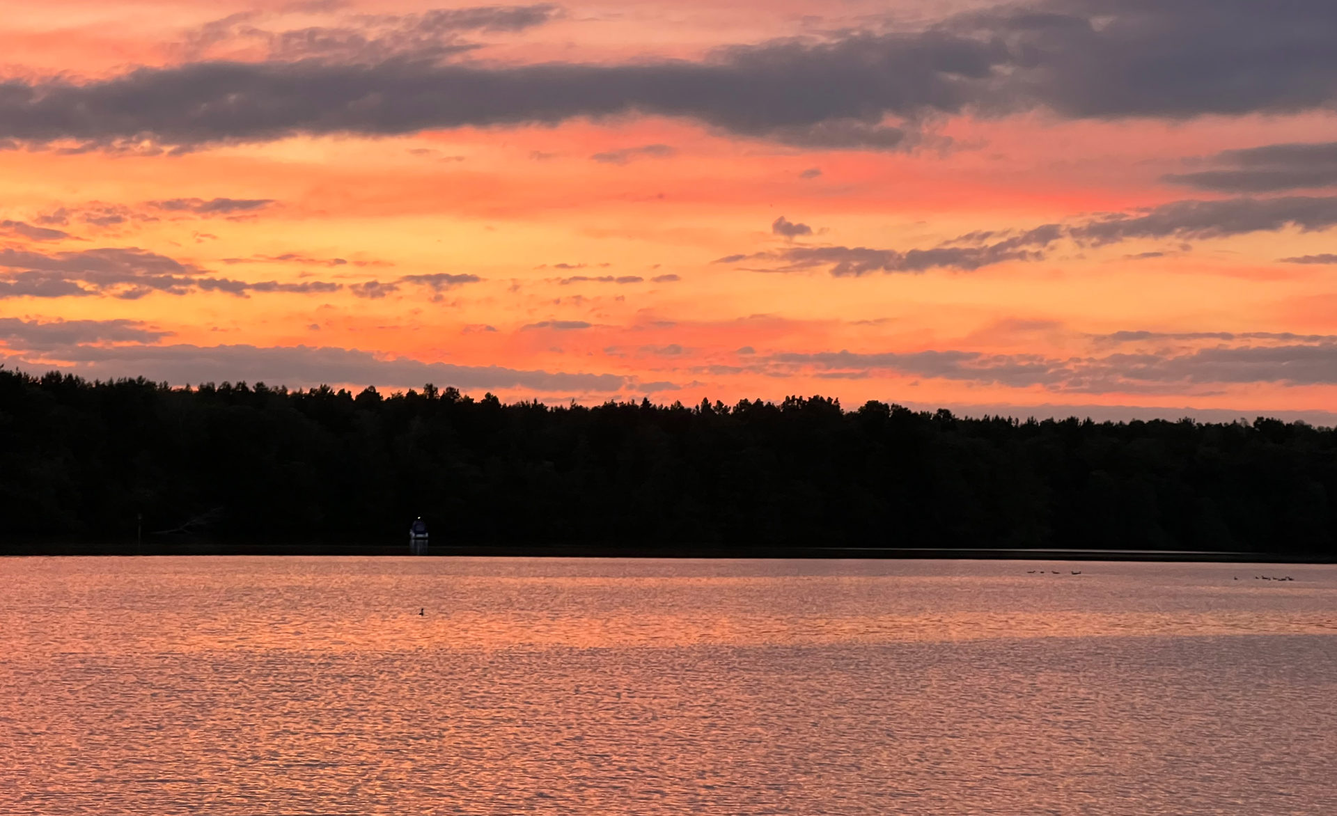 Biotoplage am Krüpelsee Kablow – selten und wertvoll