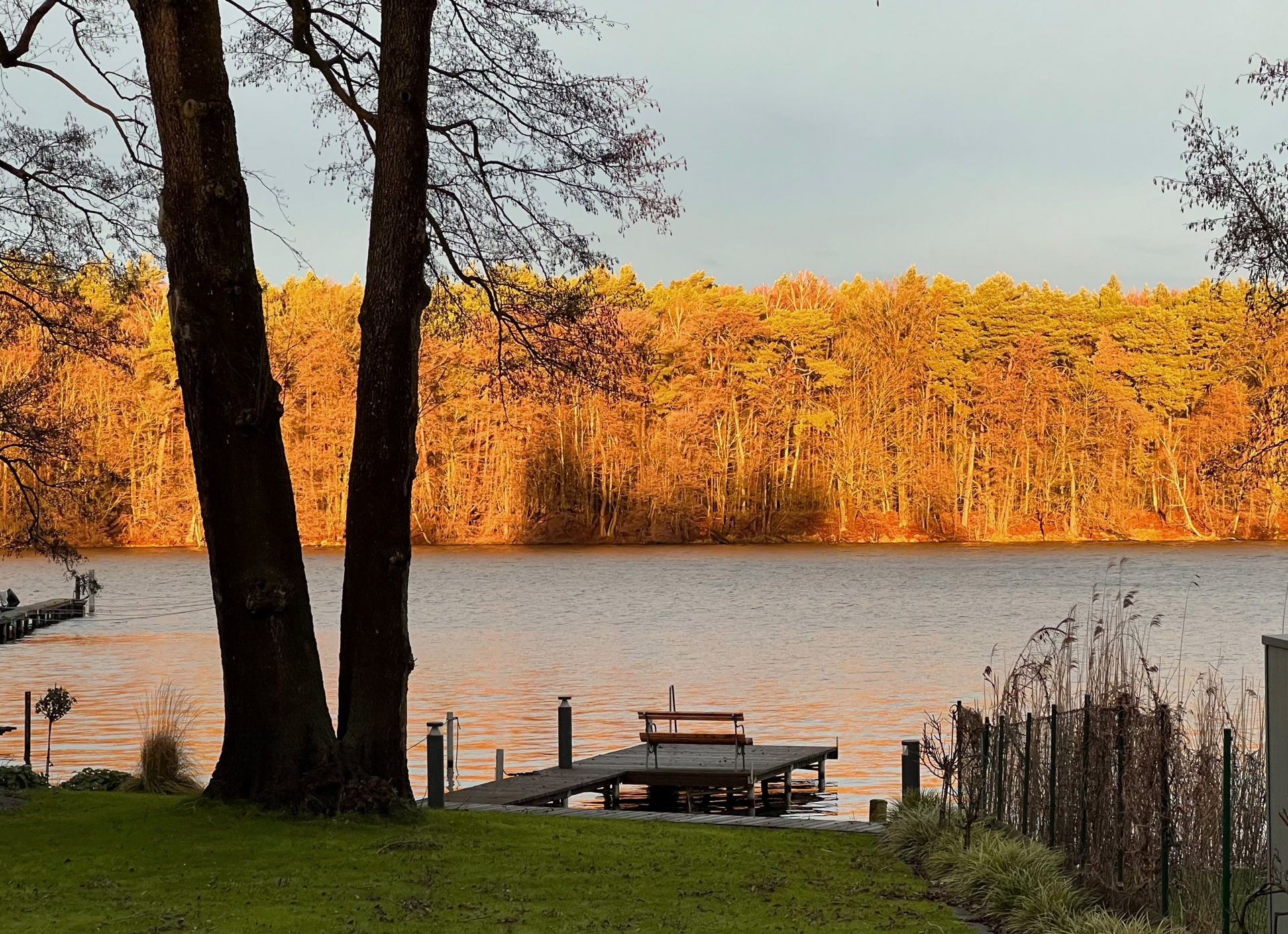 Herbst am Ufer des Krüpelsees Kablow